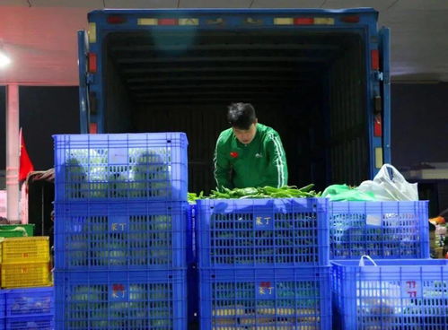 菜丁 乐昌农产品交易中心,大型农副产品批发市场火爆招商